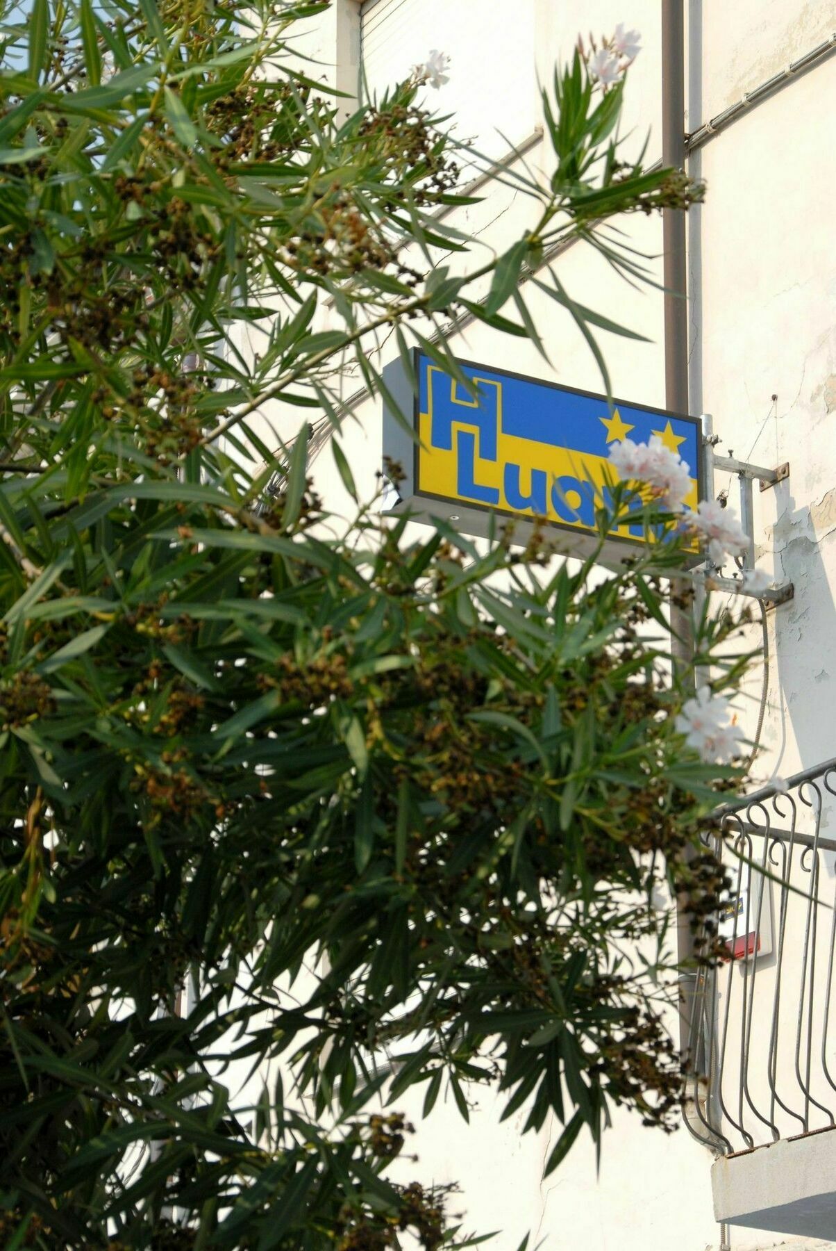 Hotel Luana Viareggio Extérieur photo